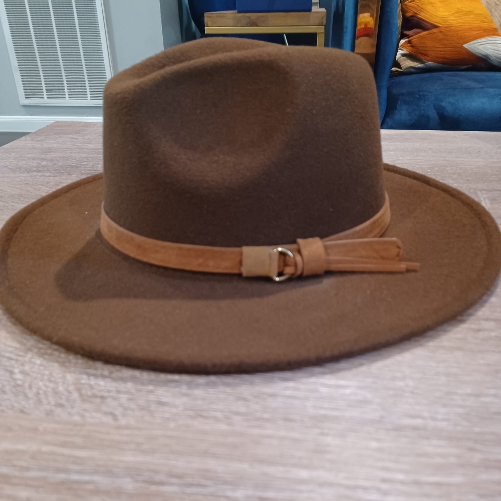 Brown men's fedora